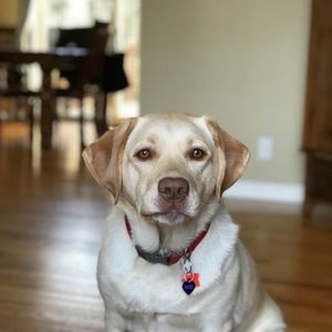 Meet your Posher, Maureen